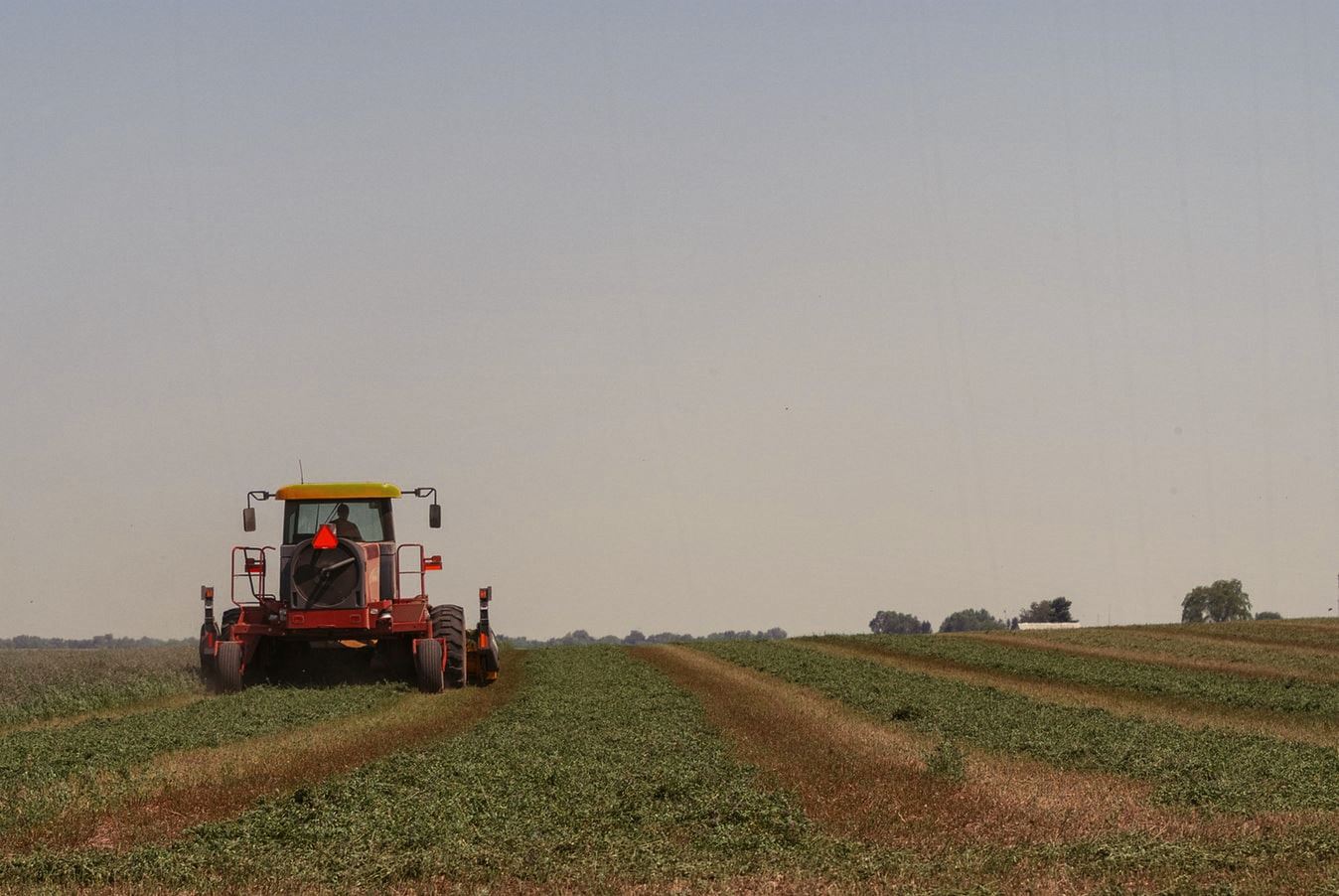 Diploma perito agrario